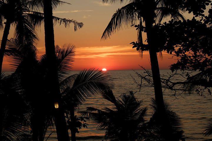 Paradise Palms Ко Чанг Экстерьер фото